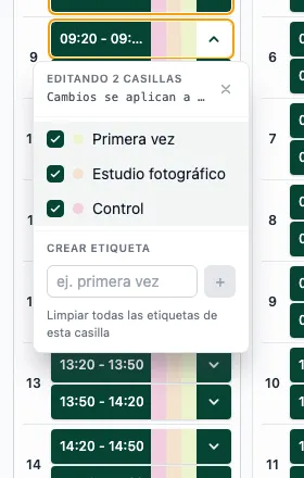 Menú con encabezado Editando N casillas mostrando que la edición es en grupo.
