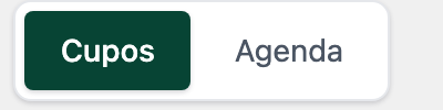 Toggle "Cupos / Agenda" arriba a la derecha del Panel de Doctores.