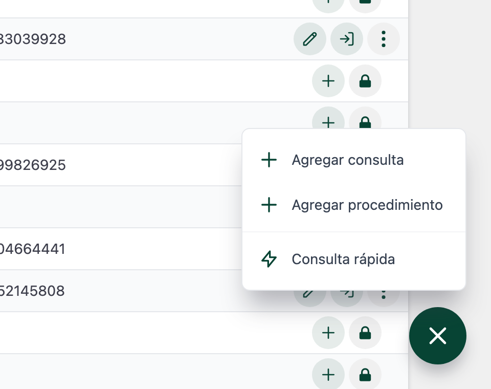Menú flotante con Agregar consulta, Agregar procedimiento y Consulta rápida.