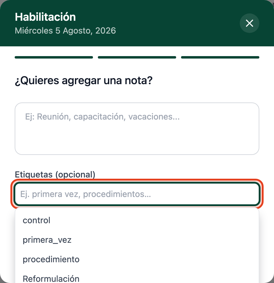 Campo Etiquetas (opcional) resaltado, con el desplegable abierto mostrando los tipos de cita configurados.
