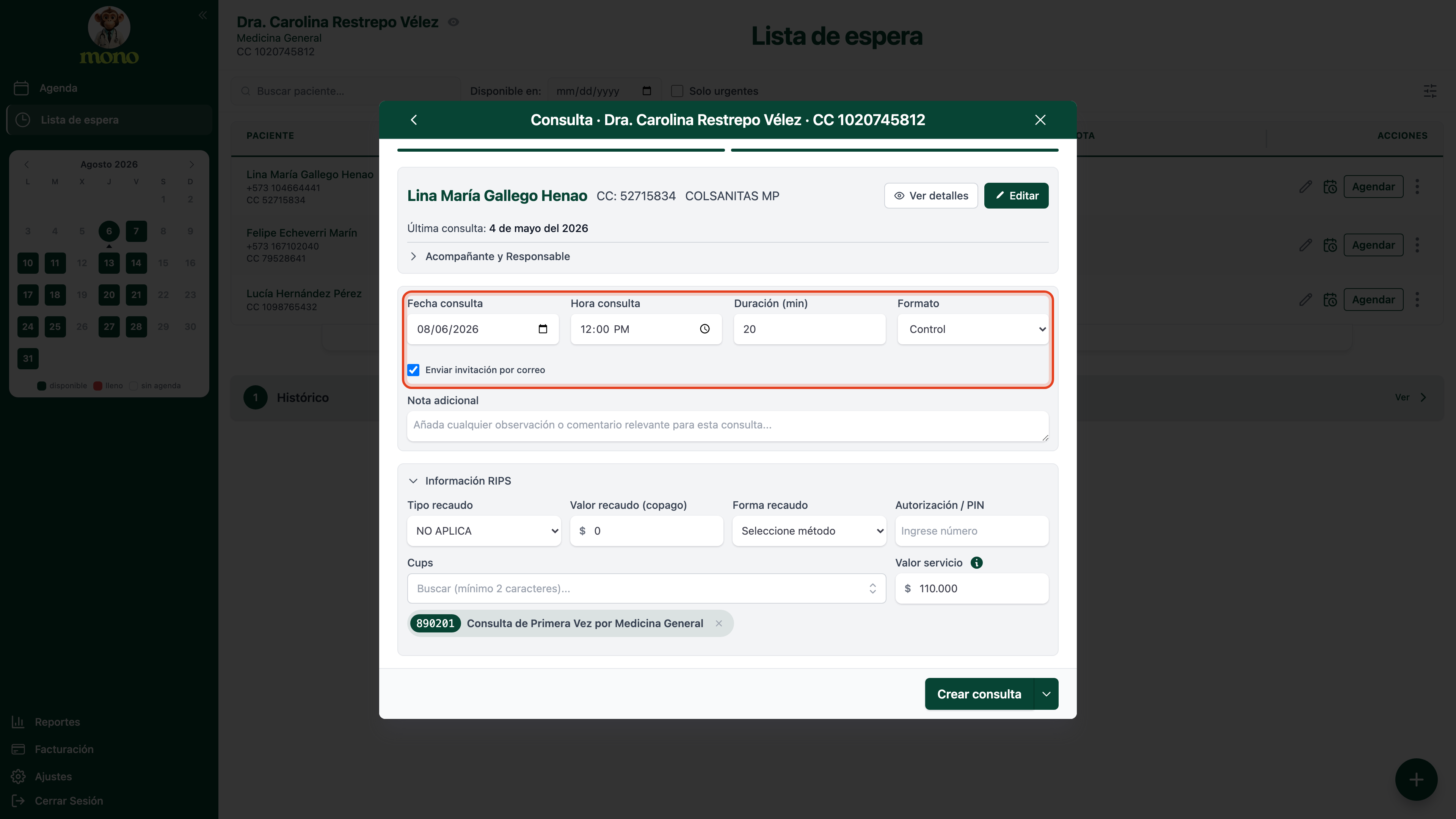 Ventana Consulta con los campos Fecha consulta, Hora consulta, Duración y Formato resaltados