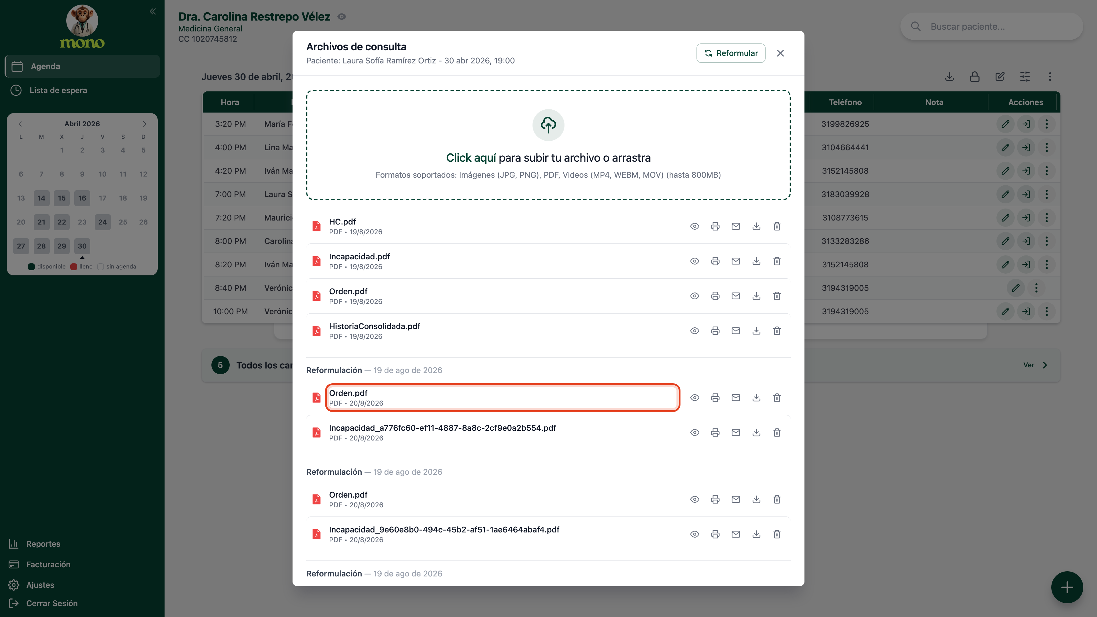 Ventana Archivos de consulta con los cuatro documentos originales arriba y, debajo, bloques titulados Reformulación con su fecha; el archivo Orden.pdf del primer bloque de reformulación está resaltado
