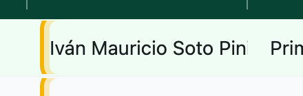 Celda del nombre del paciente, indicando que es activa al pasar el mouse.